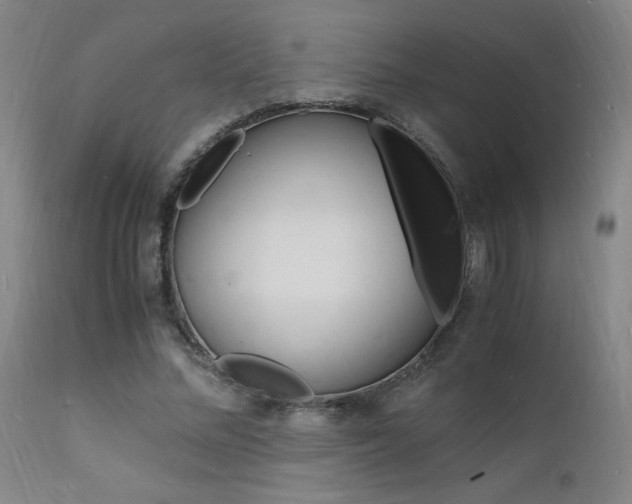 X0000112150684200908071003