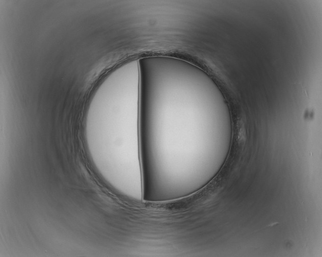 X0000112150685200908071003