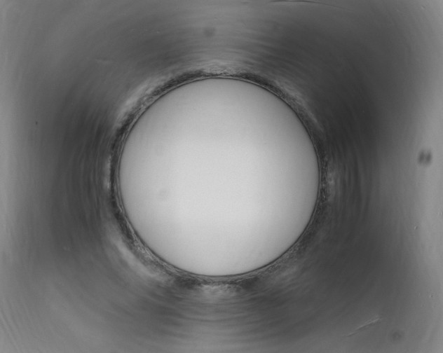 X0000112150686200908071003