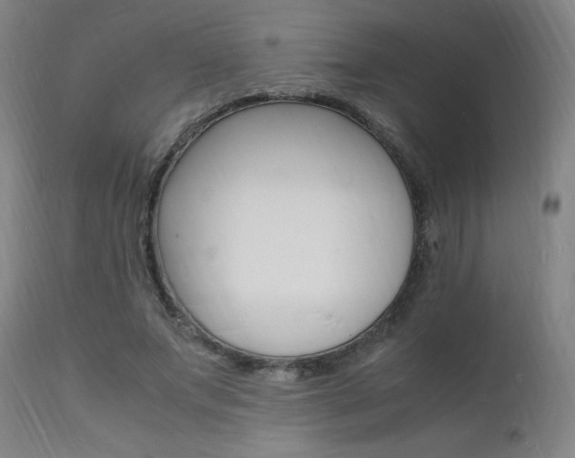 X0000112150687200908071003