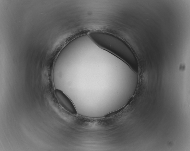 X0000112150688200908071003