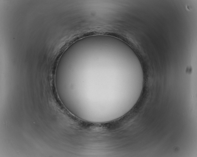 X0000112150689200908071003