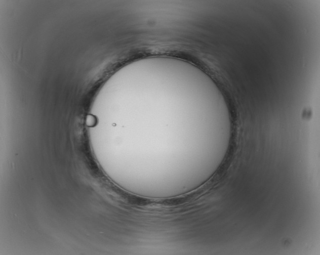 X0000112150691200908071003