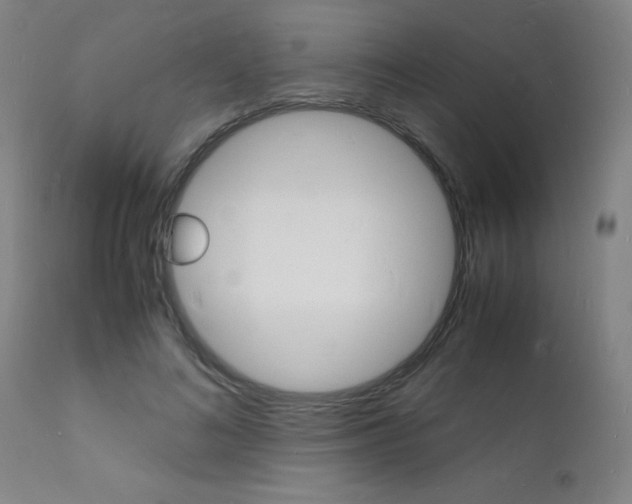 X0000112150692200908071003