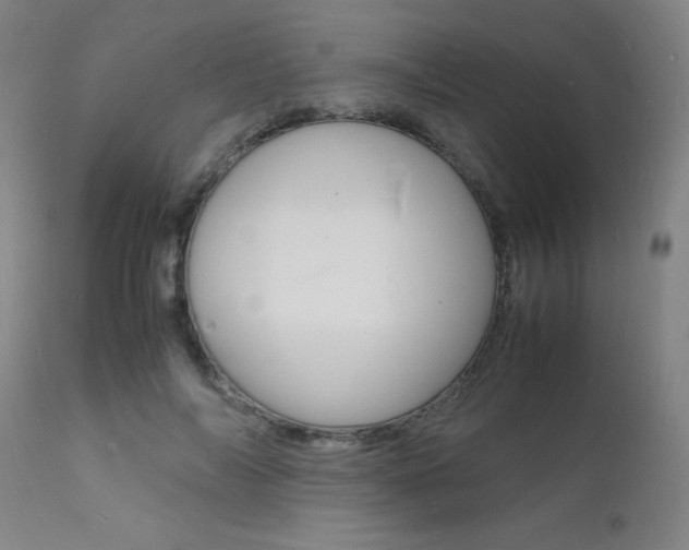 X0000112150694200908071003