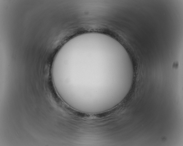 X0000112150695200908071003