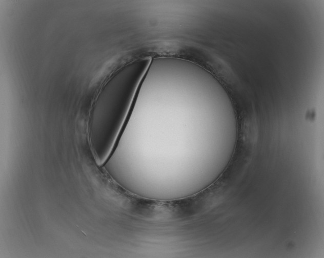 X0000112150697200908071003