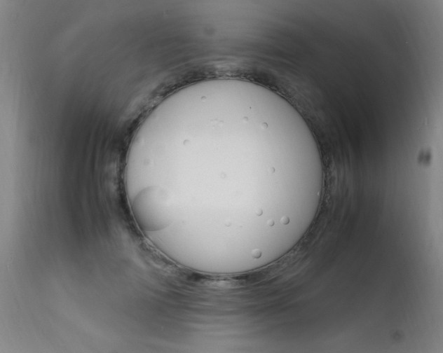 X0000112150698200908071003