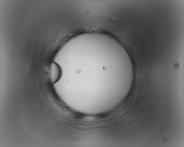 X0000112150699200908071003