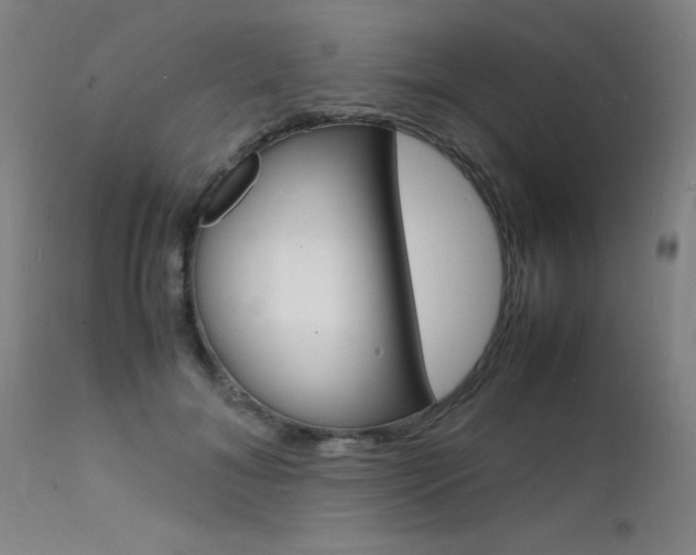 X0000112150700200908071003