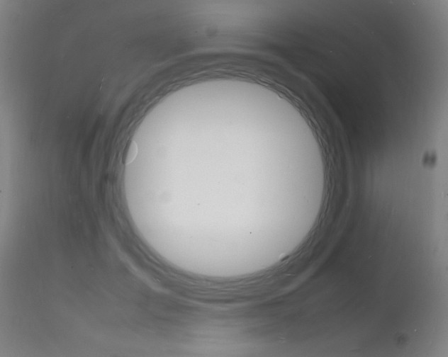 X0000112150701200908071003