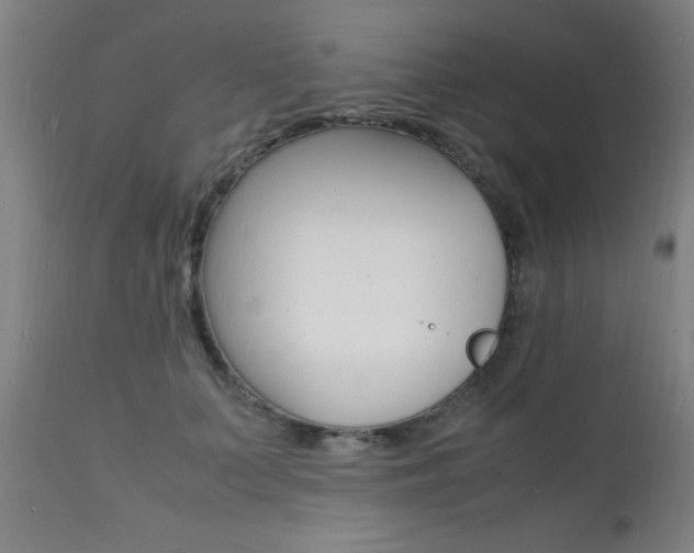 X0000112150703200908071003