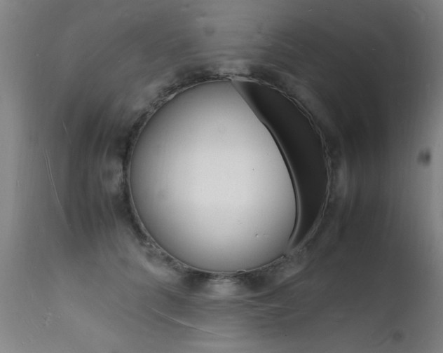 X0000112150704200908071003