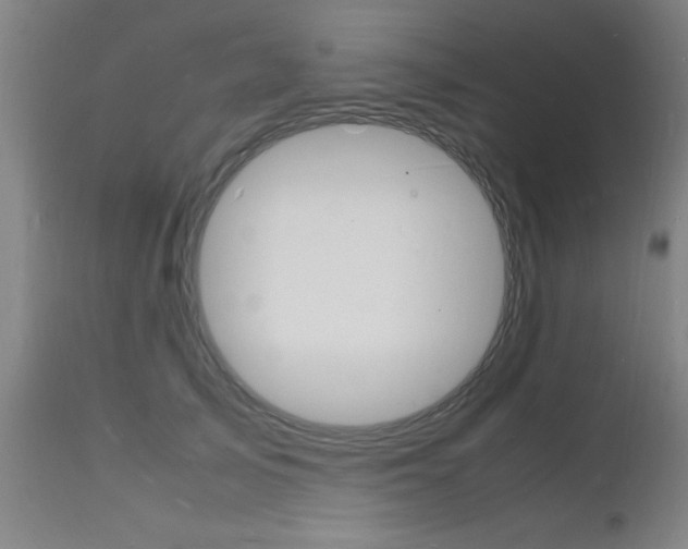 X0000112150705200908071003
