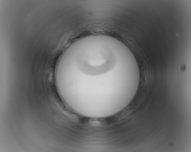 X0000112150706200908071003