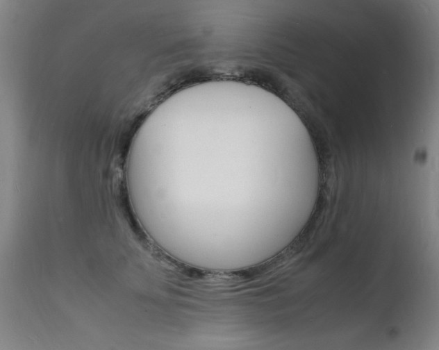 X0000112150707200908071003