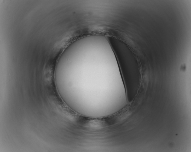 X0000112150708200908071003