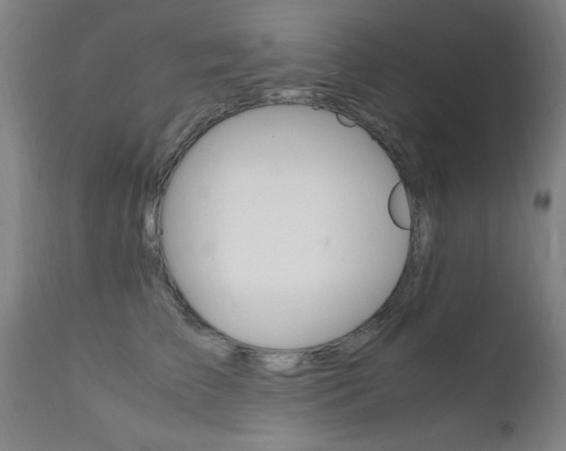 X0000112150709200908071003