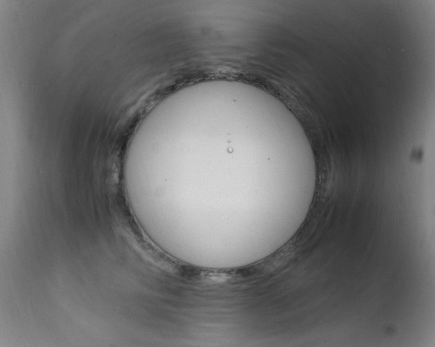 X0000112150710200908071003