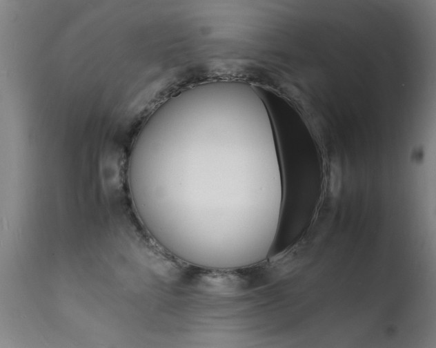 X0000112150712200908071003