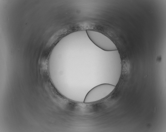 X0000112150713200908071003