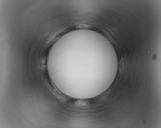 X0000112150714200908071003
