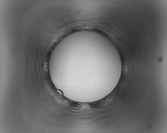 X0000112150715200908071003