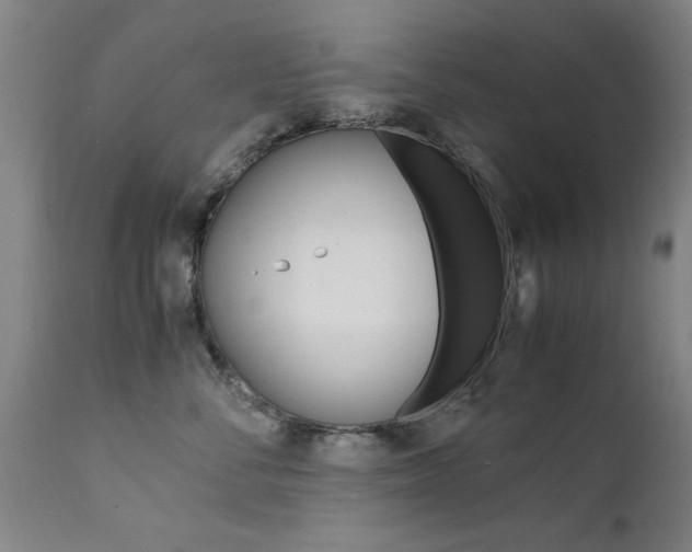 X0000112150716200908071003