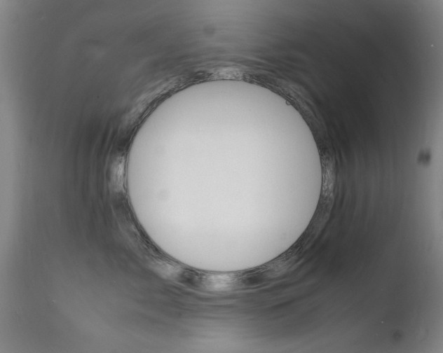 X0000112150717200908071003