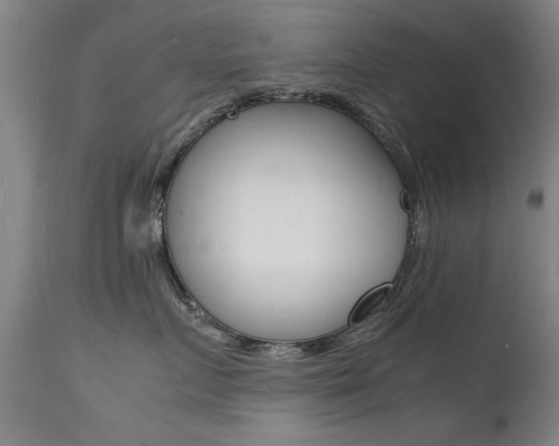 X0000112150719200908071003