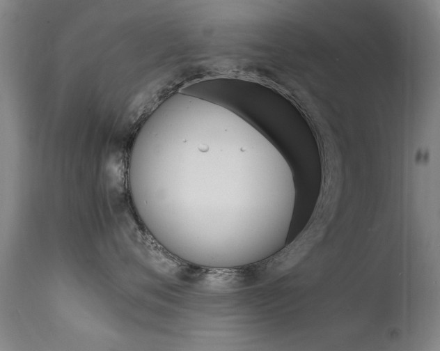 X0000112150720200908071003