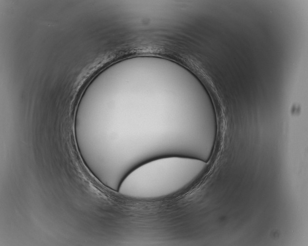 X0000112150721200908071002