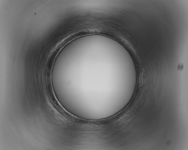 X0000112150722200908071002