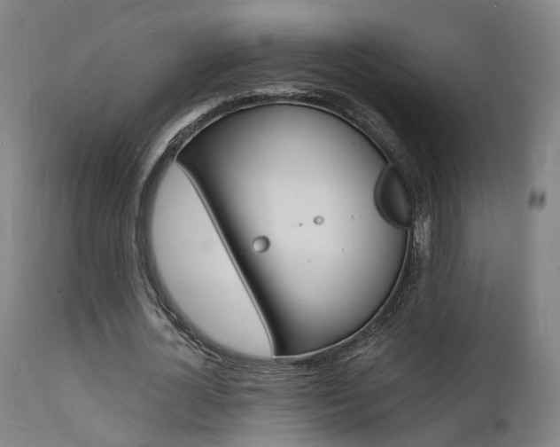 X0000112150724200908071002