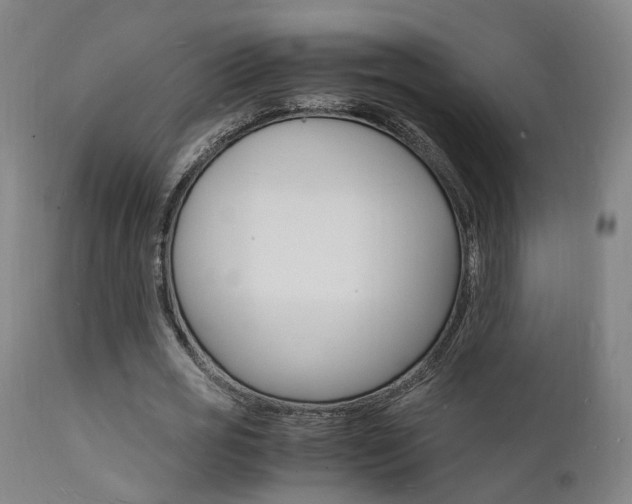 X0000112150725200908071002