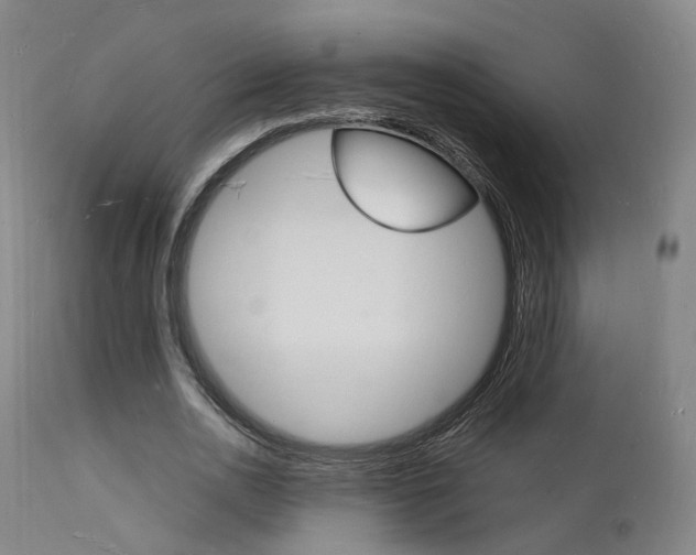 X0000112150726200908071002