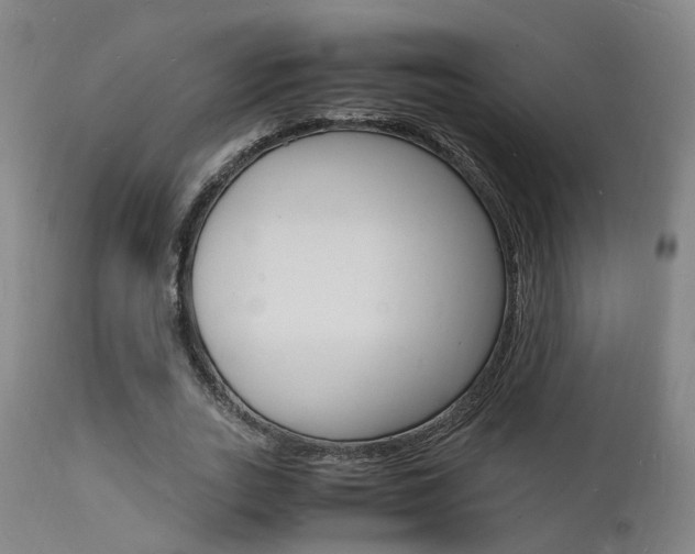 X0000112150727200908071002