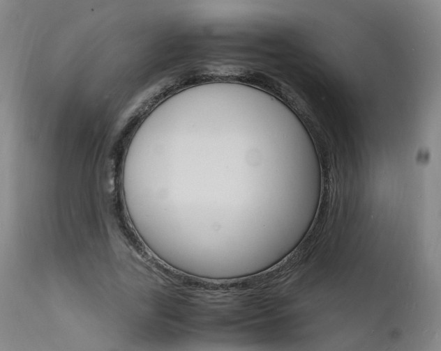 X0000112150731200908071002
