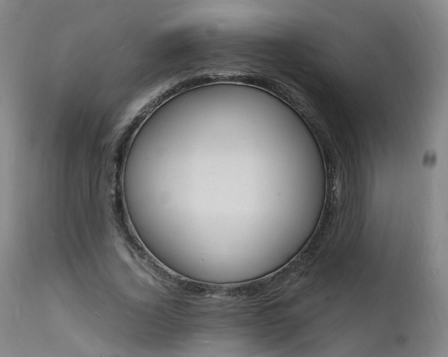X0000112150732200908071002
