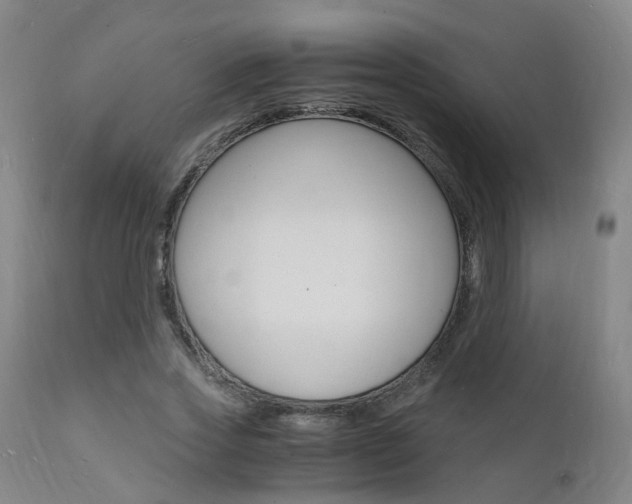 X0000112150733200908071002