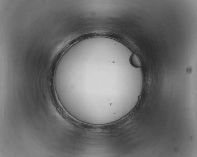 X0000112150734200908071002