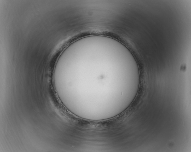 X0000112150736200908071002