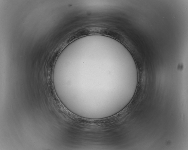 X0000112150737200908071002