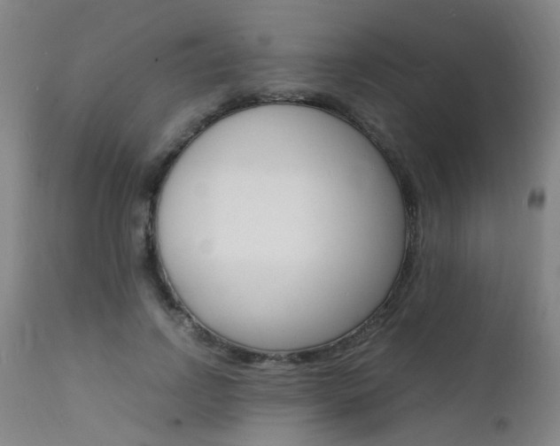 X0000112150742200908071002