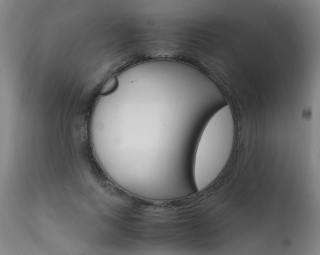 X0000112150743200908071002