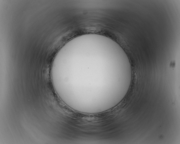 X0000112150745200908071002