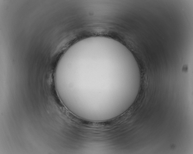 X0000112150746200908071002