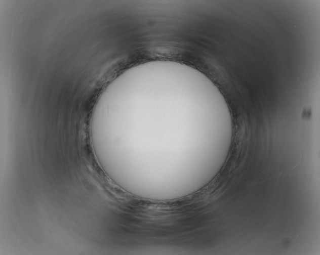 X0000112150749200908071002