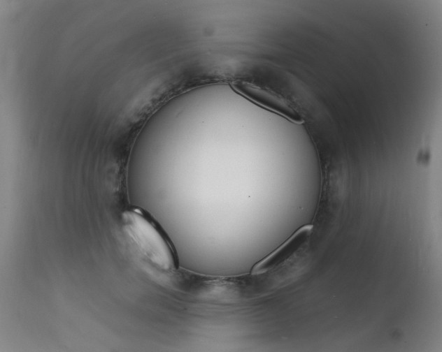 X0000112150750200908071002