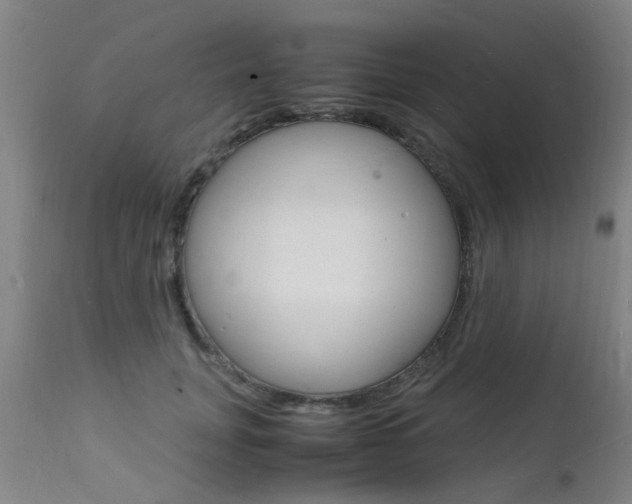 X0000112150751200908071002
